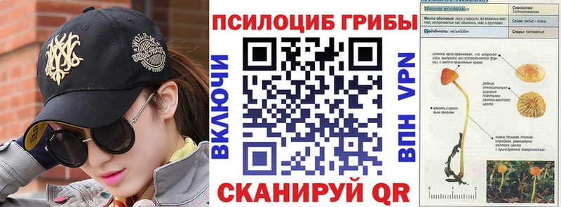 Псилоцибиновые грибы GOLDEN TEACHER  Купить  Каменногорск 